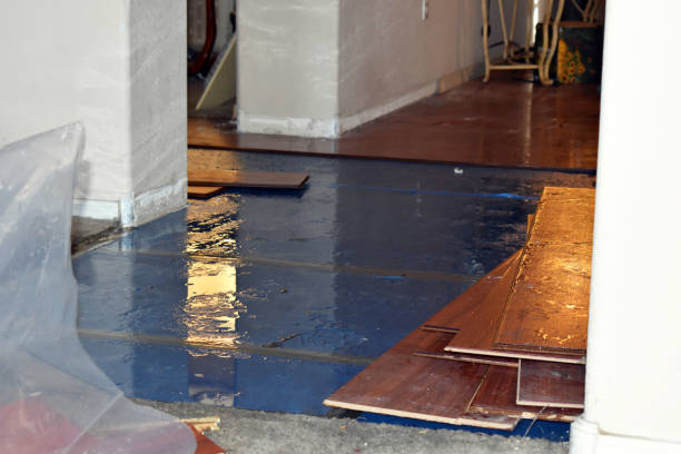 Professional Basement Flood Cleanup technician working in Colebrook, NH
